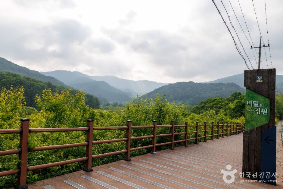 thumbnail-비밀의정원-4
