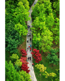 2011 Daejeon Metropolitan City Tour Photos Contest