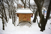 Mt.Taebaek Sno..
