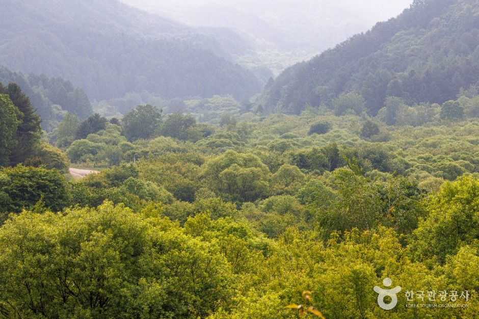 thumbnail-비밀의정원-7