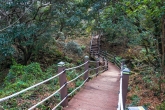 Hwasun Gotjawal Ecological Forest Trail