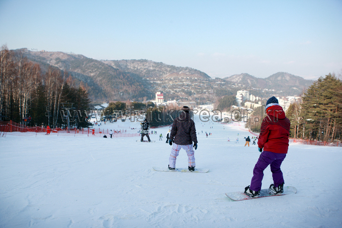 Yongpyeong Resort, Ski 