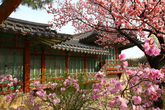 Changdeokgung Palace