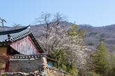 Seonamsa Temple
