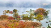 Fall Foliage & Fog in Yongdamho Lake