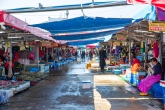 Jumunjin Fisherman's Market