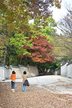 Stone wall of Changdeokgung Palace