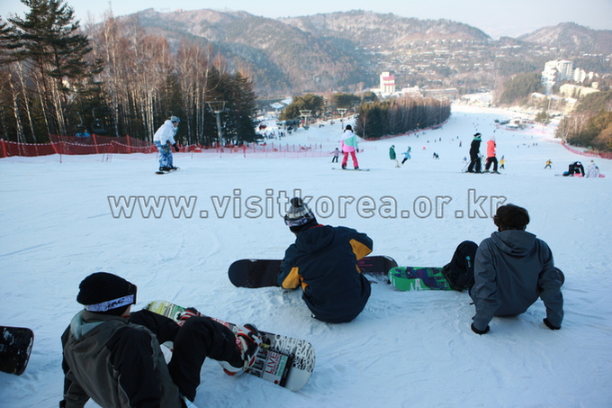 Yongpyeong Resort, Ski 
