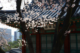 Changdeokgung Palace