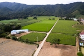 Daehan Dawon Tea Plantation(Boseong Dawon Tea Plantation)