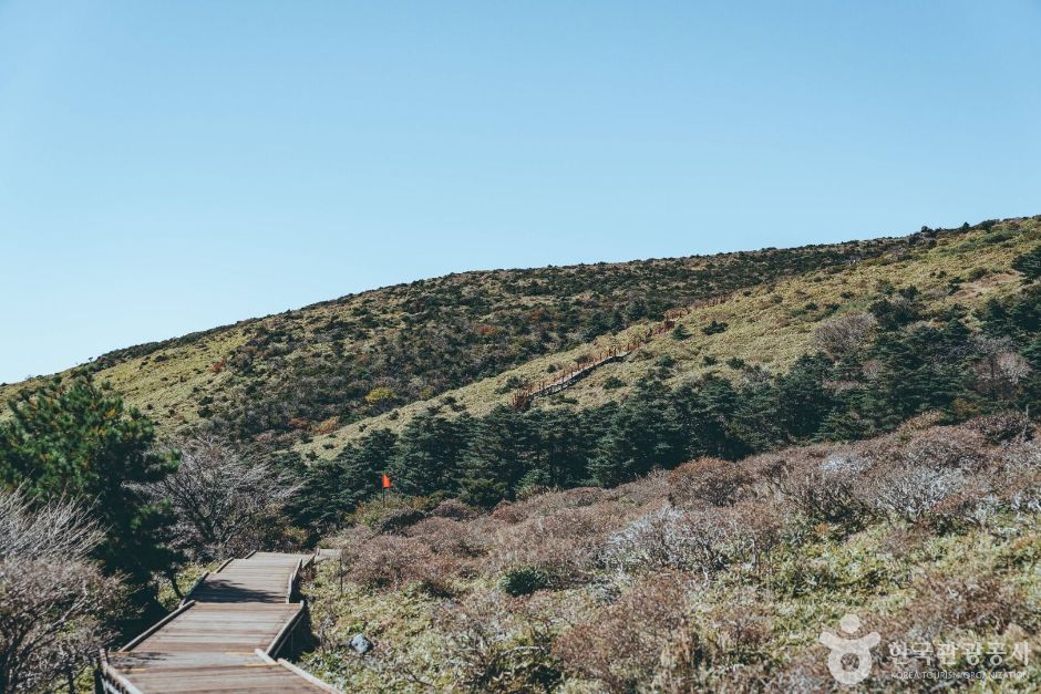 thumbnail-한라산-3