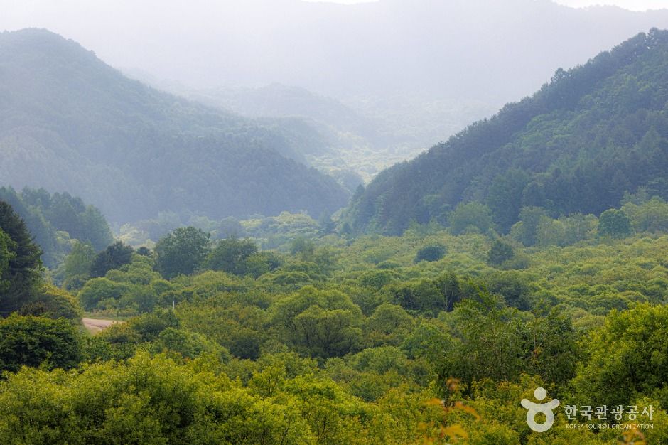 thumbnail-비밀의정원-1