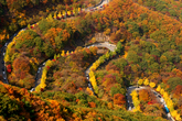 Autumn of Mt. ..