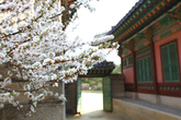 Changdeokgung Palace