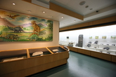 Kyung Hee Universiry Natural History Museum