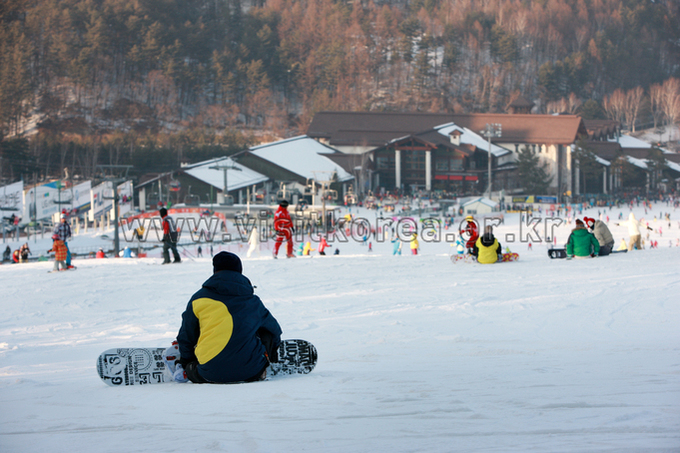 Yongpyeong Resort, Ski 
