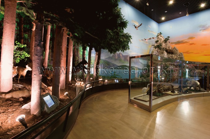 Forest Museum in Chuncheon