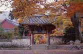 Autumn of Songgwangsa Temple Autumn of Songgwangsa Temple