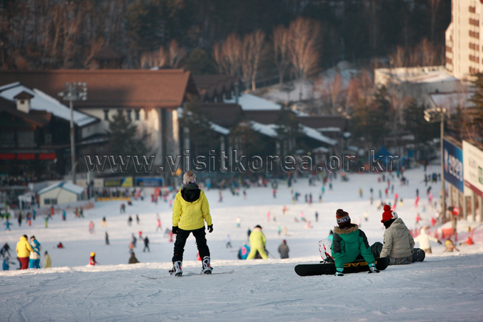 Yongpyeong Resort, Ski 