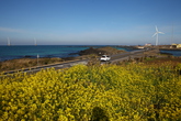 Wind Generator in Jeju Island