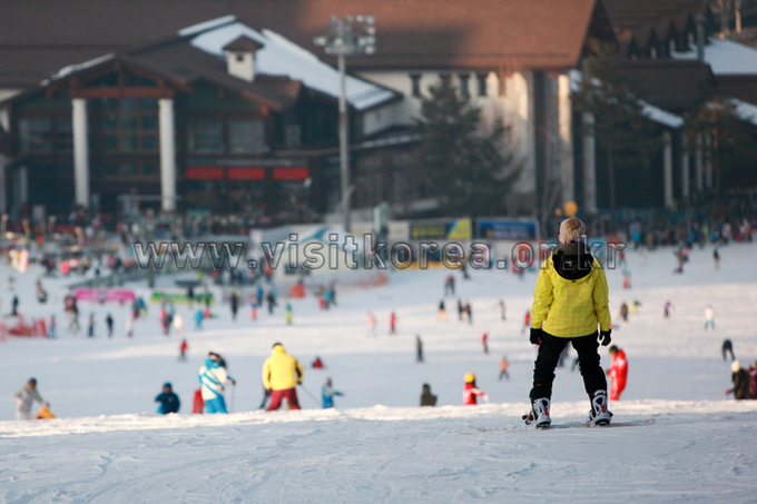 Yongpyeong Resort, Ski 