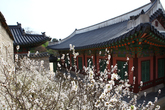 Changdeokgung Palace