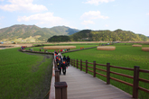 Suncheonman Bay Ecological Park Suncheonman Bay Ecological Park