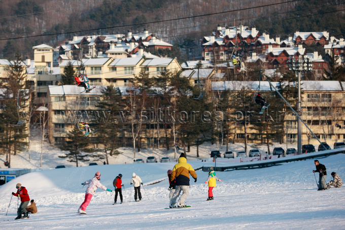 Yongpyeong Resort, Ski 