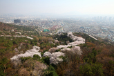 Namsan Park