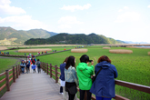 Suncheonman Bay Ecological Park Suncheonman Bay Ecological Park