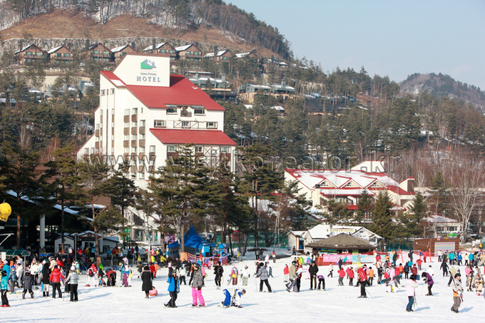 Yongpyeong Resort, Ski 