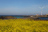 Wind Generator in Jeju Island
