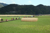 Suncheonman Bay Ecological Park Suncheonman Bay Ecological Park