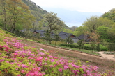 Namhae Native Plants Garden