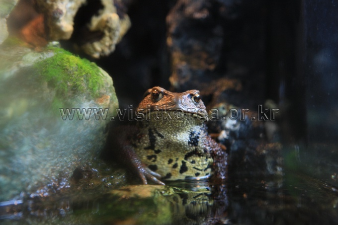 Seomjin River Fish Eco-Museum 