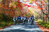 Advancing Into Fall