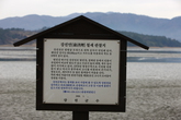 Habitat of Migratory Birds-Gangjinman Bay