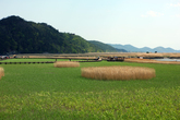 Suncheonman Bay Ecological Park Suncheonman Bay Ecological Park