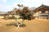 Yoonduseo's Old House