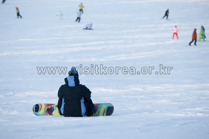 Yongpyeong Resort, Ski 