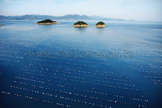 Sea Farms