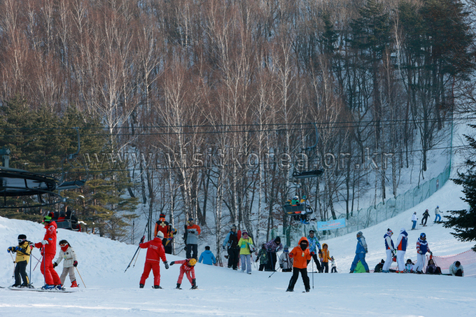 Yongpyeong Resort, Ski 