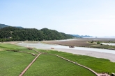 Suncheonman Wetland