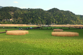 Suncheonman Bay Ecological Park Suncheonman Bay Ecological Park
