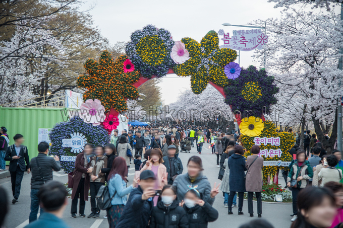 2019 영등포 여의도 봄꽃축제
