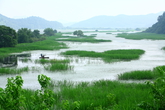 Uponeup Marsh