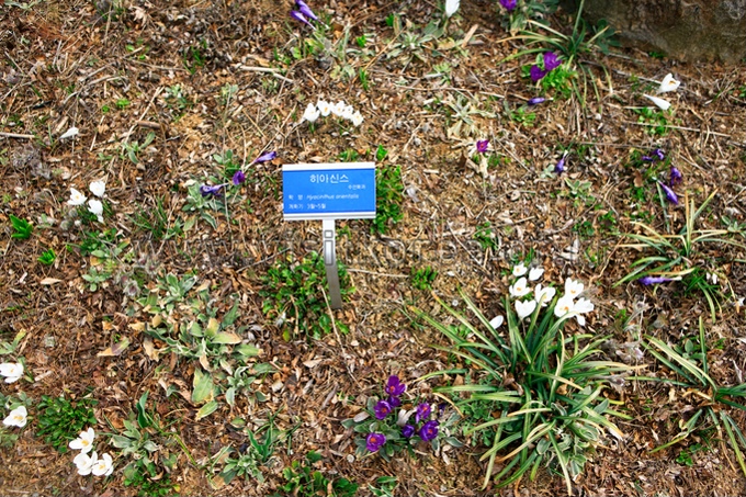 Gallery in the Garden