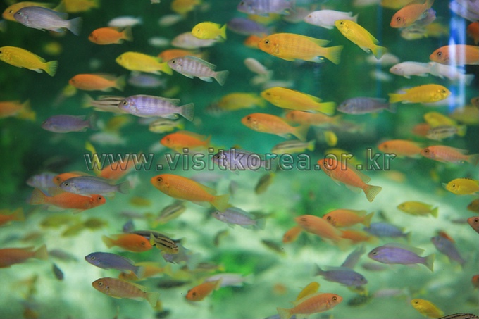 Seomjin River Fish Eco-Museum 