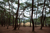 Samneung & The Royal Tomb of Kyong-Ae-Wang