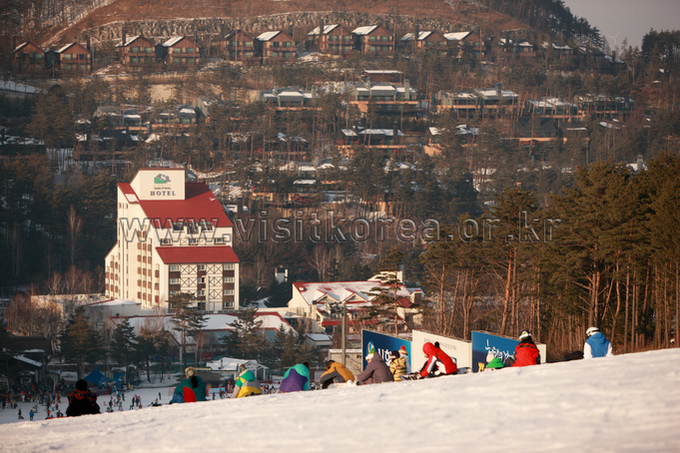Yongpyeong Resort, Ski 